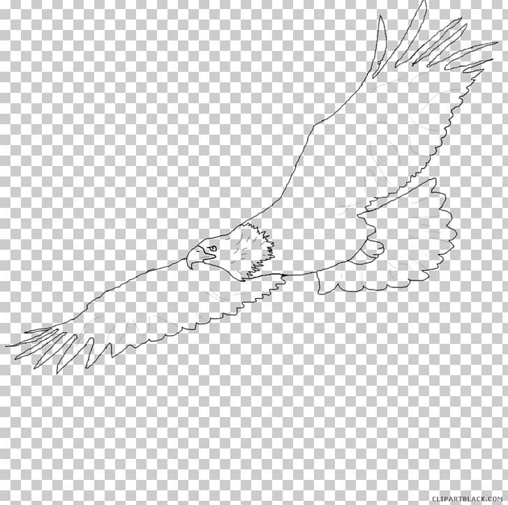 Bald Eagle Line Art Bird Beak PNG, Clipart, Angle, Animals, Arm, Art, Artwork Free PNG Download