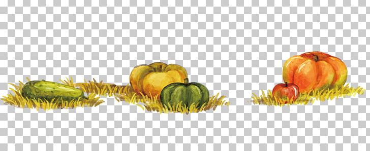 Calabaza Winter Squash Autumn Food PNG, Clipart, Artificial Grass, Cartoon, Cartoon Pumpkin, Computer Wallpaper, Dessin Animxe9 Free PNG Download