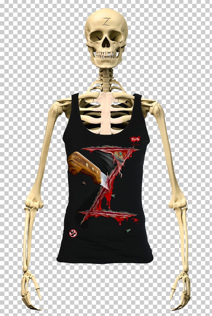 Human Skeleton Human Body Bone Anatomy PNG, Clipart, Anatomy, Body, Bone, Human, Human Body Free PNG Download