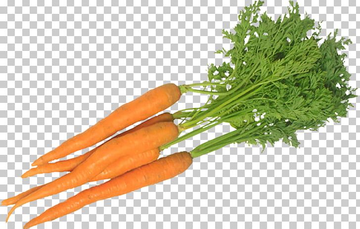 Food Juice Carrot Health Vegetable PNG, Clipart, Baby , Carrot, Daucus Carota, Detoxification, Food Free PNG Download