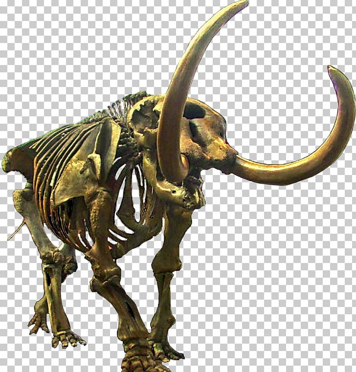 American Mastodon Mammoth Proboscidea Diplodocus Extinction PNG, Clipart, American Mastodon, Animal, Brass, Bronze, Bronze Sculpture Free PNG Download