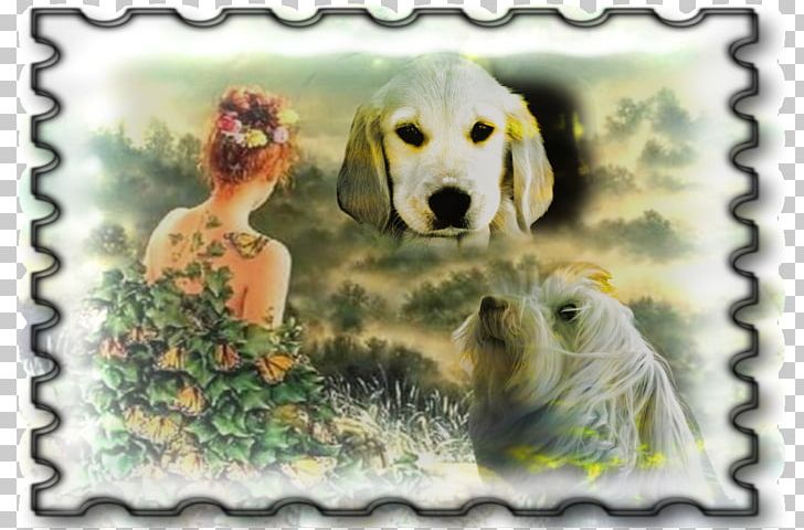 Golden Retriever Labrador Retriever Puppy Dog Breed Genuine Mediumship PNG, Clipart, Animals, Book, Breed, Carnivoran, Dog Free PNG Download
