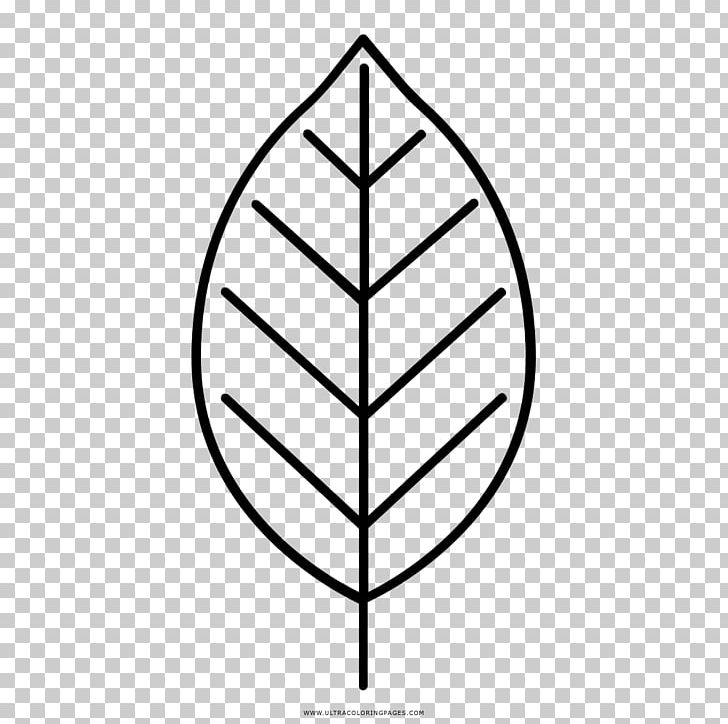 Leaf Drawing Coloring Book Black And White PNG, Clipart,  Free PNG Download
