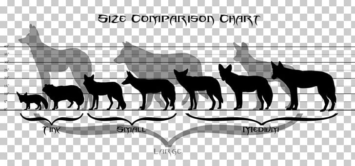 Coyote Size Chart