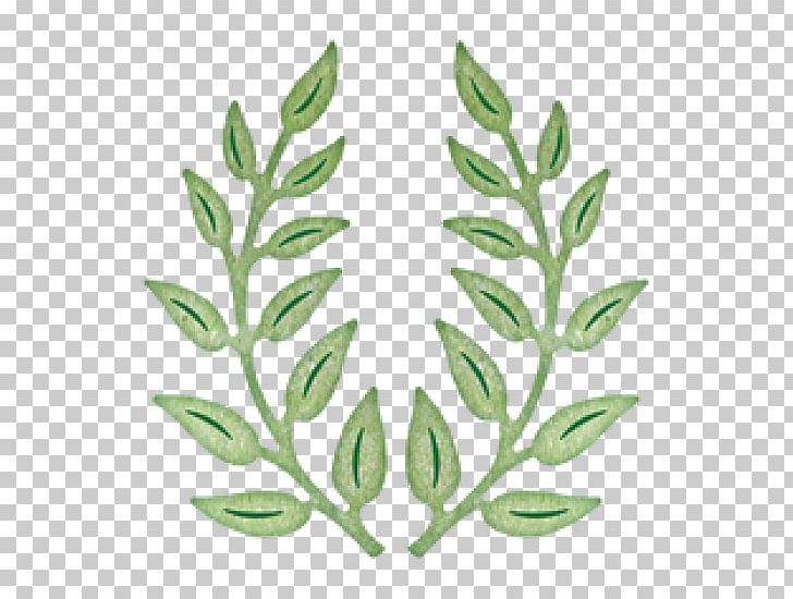 Olive Branch Cheery Lynn Designs Paper Die PNG, Clipart, Art, Branch, Cheery, Cheery Lynn Designs, Commodity Free PNG Download