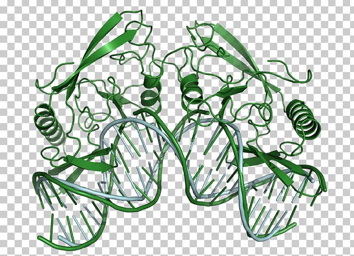 Web Server Computer Servers DNA Polymerase I PNG, Clipart, Artwork, Complementarity, Computer Servers, Conformational Isomerism, Dna Free PNG Download