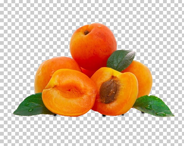 Apricot Oil Apricot Kernel Carrier Oil PNG, Clipart, Amygdalin, Apr, Apricot, Apricot Oil, Citrus Free PNG Download