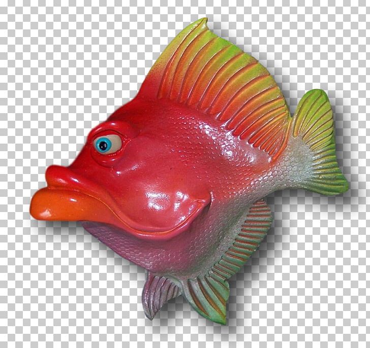 Fish Marine Biology Organism Artist PNG, Clipart, Animals, Artist, Biology, Fish, Marine Biology Free PNG Download