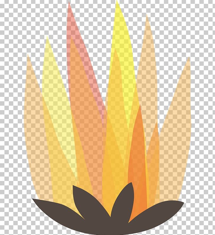 Angle Web Design Leaf PNG, Clipart, Angle, Bonfire, Clip Art, Fire, Firefighter Free PNG Download