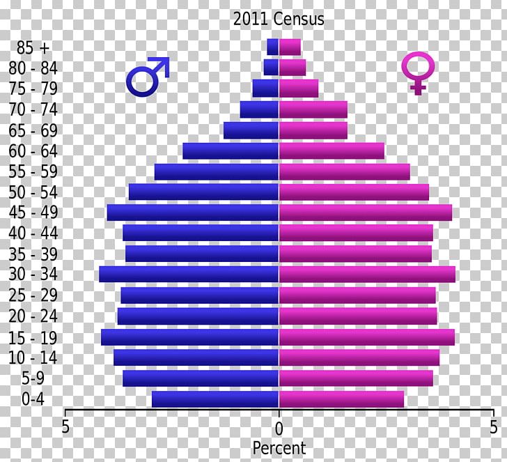 Population Pyramid Demographic Transition Demography Population Growth PNG, Clipart, Angle, Area, Birth Rate, Country, Demographic Transition Free PNG Download