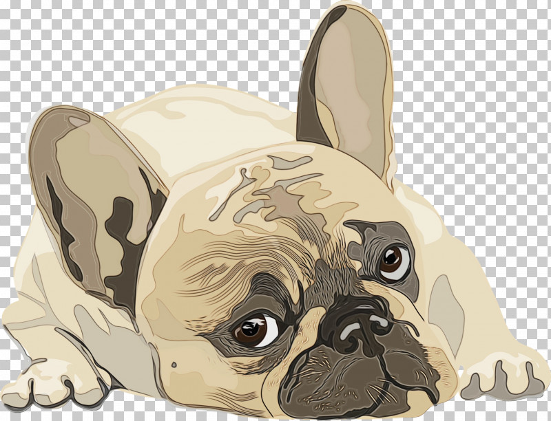 Pug Puppy Companion Dog Toy Dog Snout PNG, Clipart, Cartoon, Companion Dog, Dog, Groupm, Paint Free PNG Download