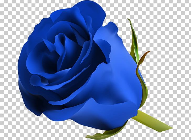 blue roses clipart