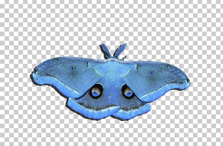 Butterfly Moth Insect Sgt. Al Powell Red PNG, Clipart, Arthropod, Bombycidae, Butterfly, Green, Insect Free PNG Download