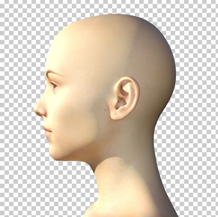 Chin DAS Productions Inc Face Cheek Forehead PNG, Clipart, Cheek, Chin, Das Productions Inc, Daz, Daz 3 D Free PNG Download