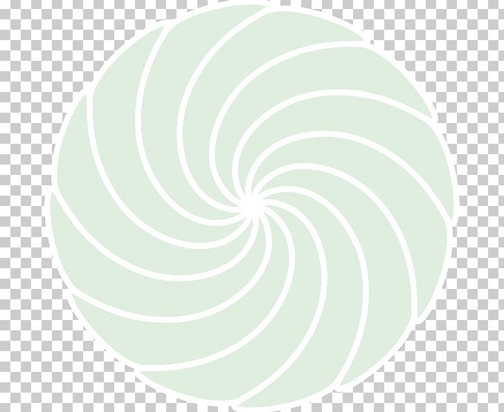 Nautiluses PNG, Clipart, Aqua, Art, Circle, Line, Nautilida Free PNG Download