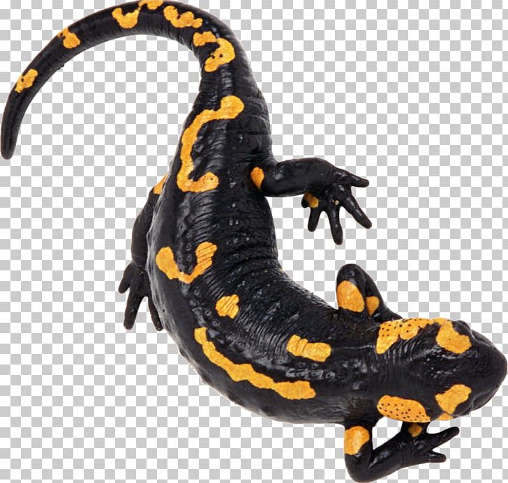 Newt Fire Salamander Lizard Reptile Alpine Salamander PNG, Clipart, Amphibian, Animal Figure, Animals, Axolotl, European Fire Salamander Free PNG Download