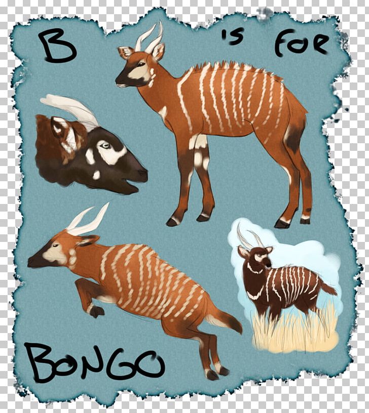 Quagga Illustration Fauna Wildlife PNG, Clipart, Bongo, Cattle Like Mammal, Fauna, Horse Like Mammal, Mammal Free PNG Download