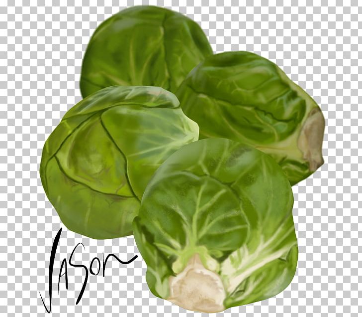 Brussels Sprout Collard Greens Capitata Group Spring Greens Vegetarian Cuisine PNG, Clipart, Basil, Brussels Sprout, Brussels Sprouts, Cabbage, Cabbages Free PNG Download