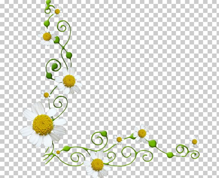 Christmas Holiday Birthday Pattern PNG, Clipart, Birthday, Body Jewelry, Branch, Christmas, Christmas Ornament Free PNG Download