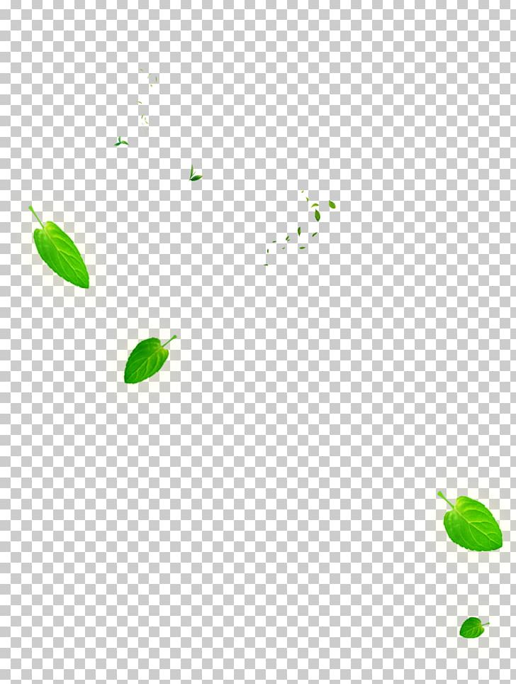 Leaf Green Euclidean PNG, Clipart, Angle, Area, Autumn Leaves, Banana Leaves, Drawing Free PNG Download