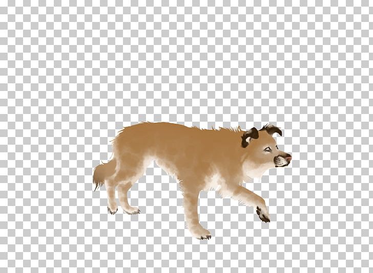 Dog Breed Puppy Snout PNG, Clipart, Agility, Border Collie, Breed, Carnivoran, Dog Free PNG Download