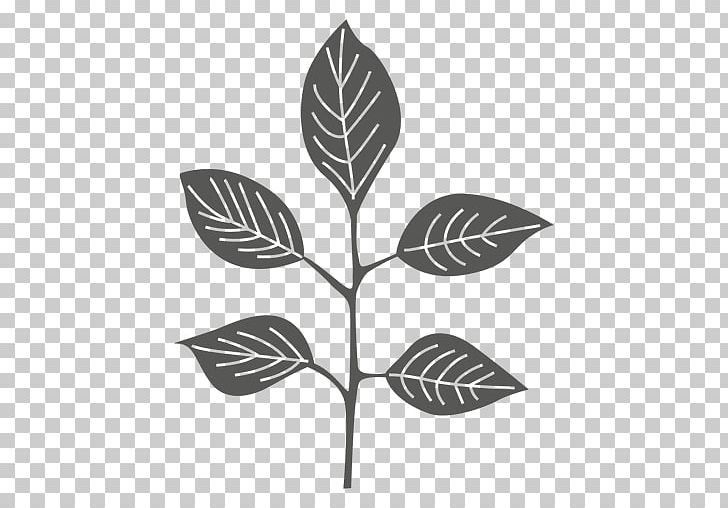 Leaf Silhouette PNG, Clipart, Animaatio, Black And White, Branch, Cartoon, Decorated Free PNG Download