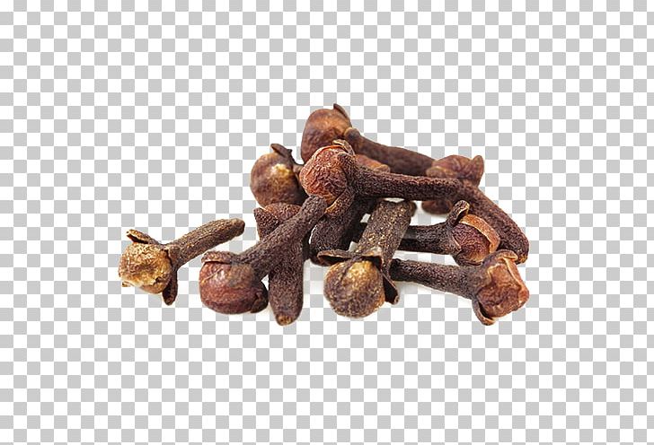 Spice Clove Syzygium Aromaticum Essential Oil PNG, Clipart, Clove, Essential Oil, Fleurance Nature, Food, Health Free PNG Download