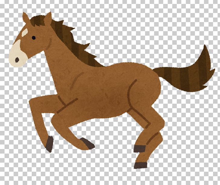 Thoroughbred Institute For Solid State Physics PNG, Clipart, Animal Figure, Canter And Gallop, Chestnut, Cheval De Course, Child Free PNG Download