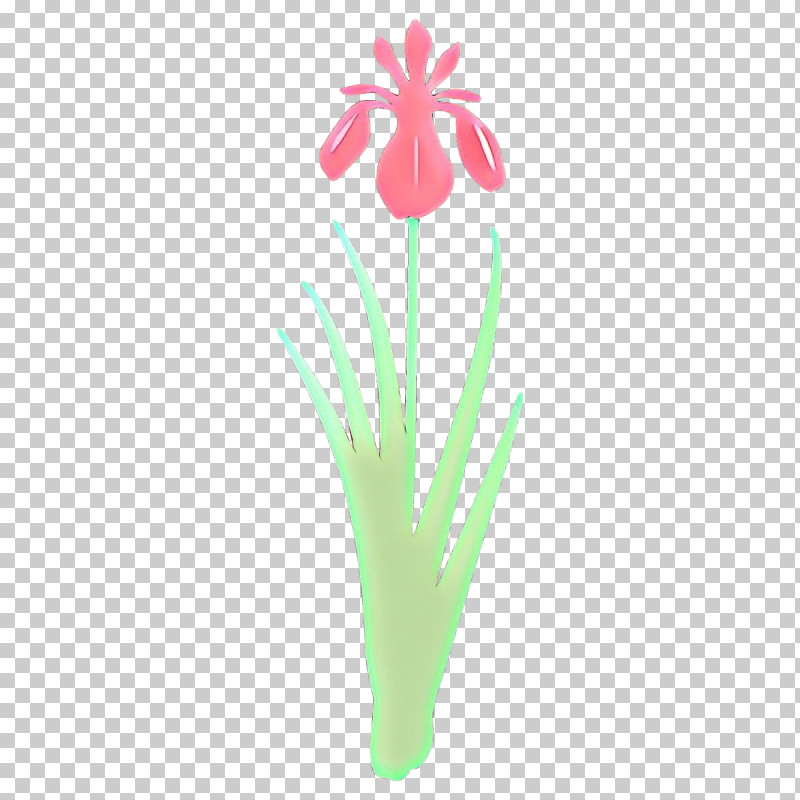 Flower Plant Grass Pedicel Tulip PNG, Clipart, Cut Flowers, Flower, Grass, Iris, Pedicel Free PNG Download