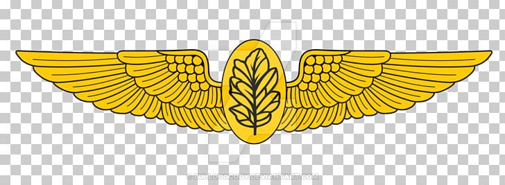 Naval Aviation United States Of America United States Navy Aircraft Pilot PNG, Clipart, Aircrew Badge, Air Force, Butterfly, Flight Nurse, Insect Free PNG Download