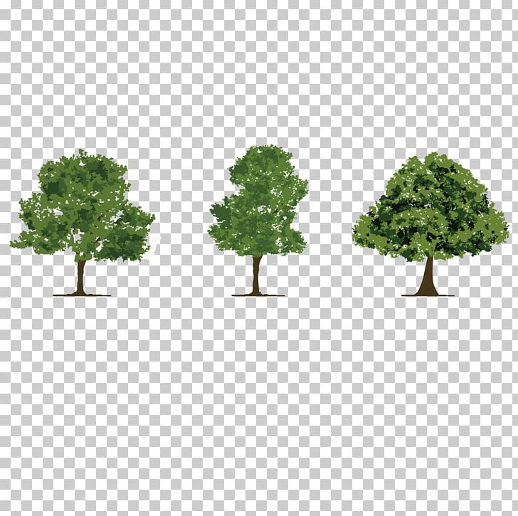 Tree Tropical Rainforest Adobe Illustrator PNG, Clipart, Broadleaved Tree, Euclidean Vector, Exquisite Pictures, Exquisite Vector, Fine Free PNG Download