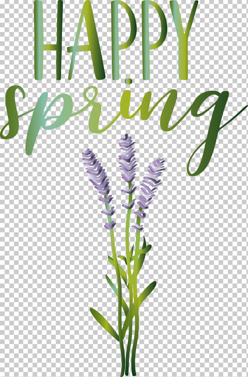 Lavender PNG, Clipart, Biology, Flower, Grasses, Herb, Lavender Free PNG Download