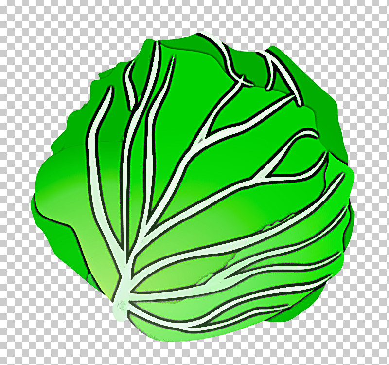 Green Leaf Cabbage Vegetable Leaf Vegetable PNG, Clipart, Brassica, Cabbage, Green, Herbaceous Plant, Leaf Free PNG Download