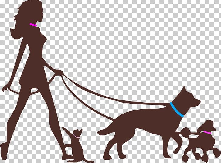Edinburgh Dog Walking Pet Sitting PNG, Clipart, Alleycats Pet Service, Animals, Carnivoran, Dog, Dog Aggression Free PNG Download