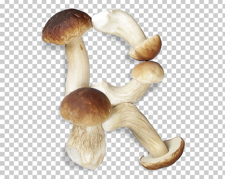 Pleurotus Eryngii Shiitake Agaricaceae PNG, Clipart, Agaricaceae, Edible Mushroom, Ingredient, Mushroom, Others Free PNG Download