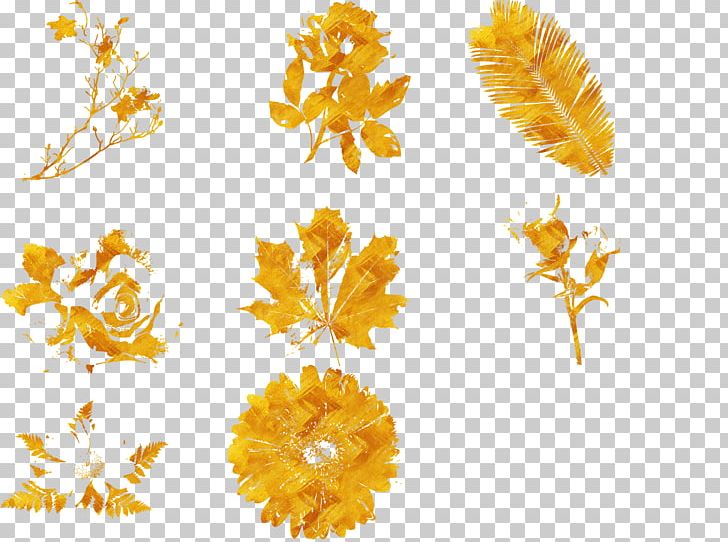 Gold Yellow PNG, Clipart, Adobe Illustrator, Blue, Commodity, Dandelion, Download Free PNG Download