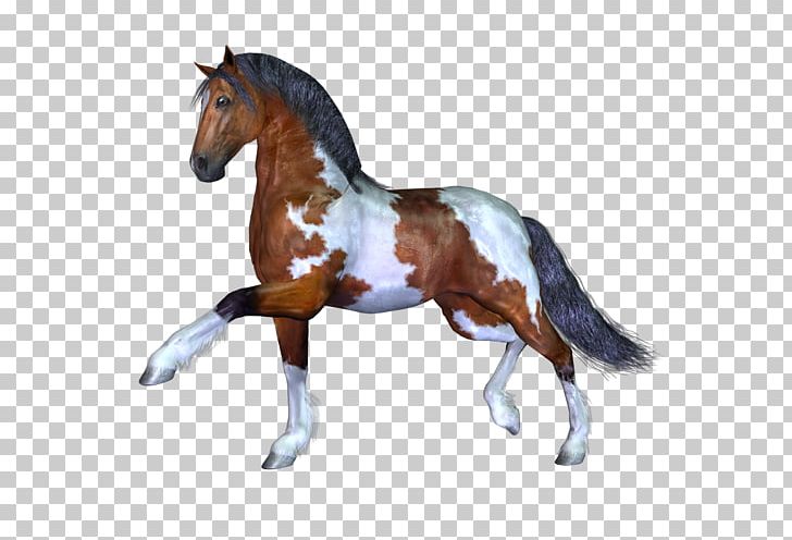 Stallion Mustang Mare Pony Rein PNG, Clipart, Animal Figure, Horse, Horse Harness, Horse Harnesses, Horse Like Mammal Free PNG Download