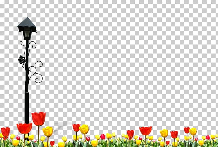 Tulip PNG, Clipart, Beautiful, Computer, Computer Wallpaper, Download, Floral Design Free PNG Download