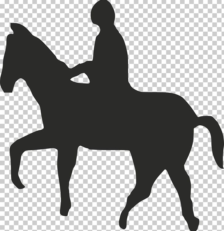 Horse Equestrian English Riding Equine Therapy Rein PNG, Clipart, Animals, Black And White, Bridle, Colt, English Riding Free PNG Download