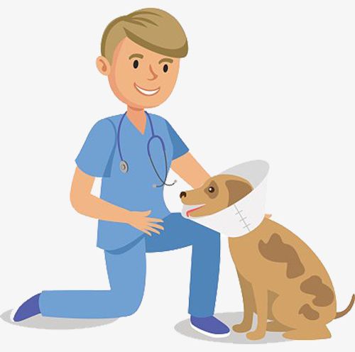 Cartoon Pet Dog And Pet Doctor PNG, Clipart, Cartoon, Cartoon Clipart, Cartoon Clipart, Claws, Doctor Free PNG Download