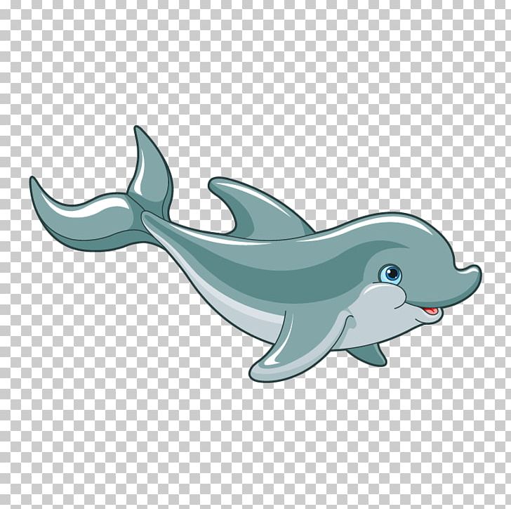Dolphin PNG, Clipart, Animals, Baiji, Bottlenose Dolphin, Common Bottlenose Dolphin, Computer Icons Free PNG Download