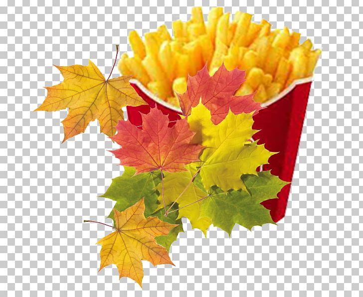 Hamburger McDonalds French Fries Fried Chicken KFC PNG, Clipart, Autumn, Buffalo Wing, Chicken, Cola, Deep Frying Free PNG Download