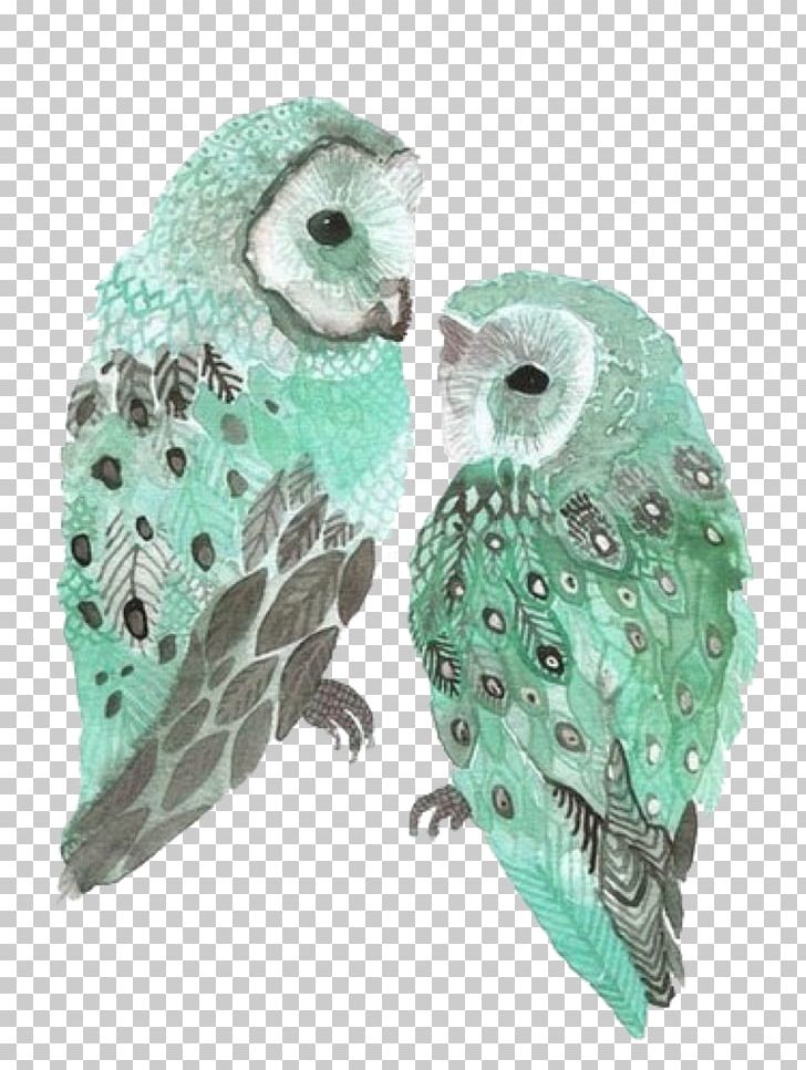Owl Bird Blue Green PNG, Clipart, Animal, Animals, Art, Barn Owl, Beak Free PNG Download
