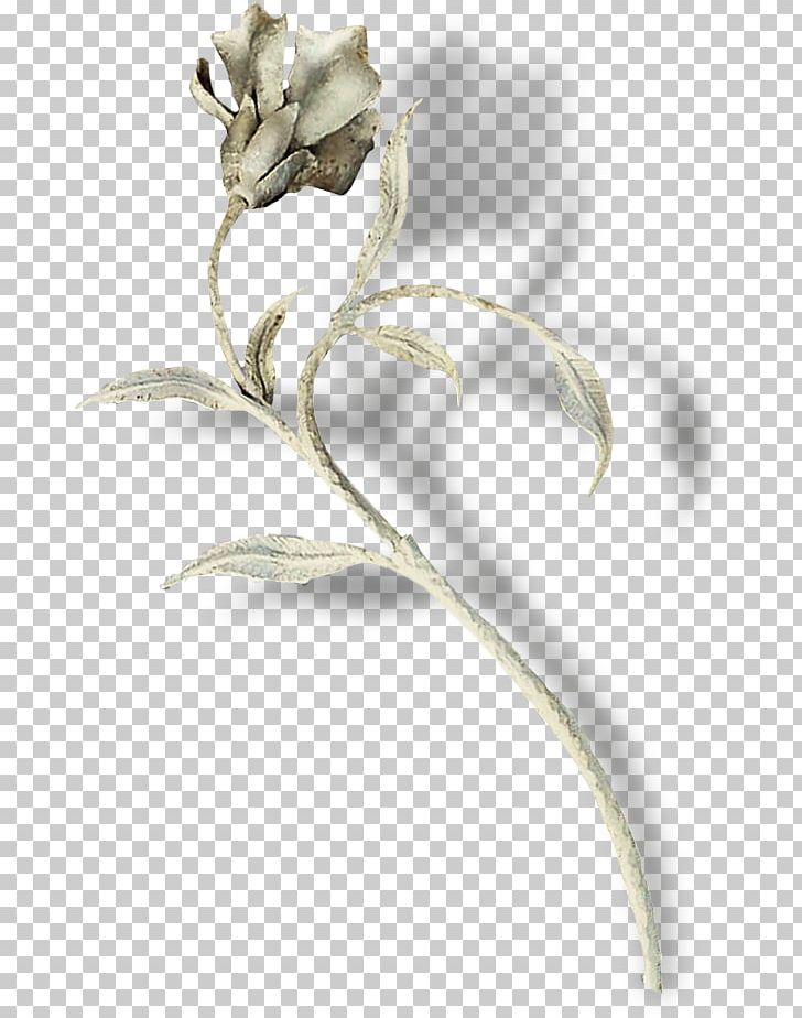 Plant Stem PNG, Clipart, Falling Leaves, Flower, Hand Painted, Leaf, Miscellaneous Free PNG Download