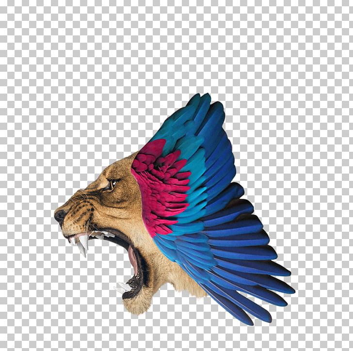 Tiger Poster Art PNG, Clipart, Animals, Art, Beak, Centimeter, Cher Free PNG Download