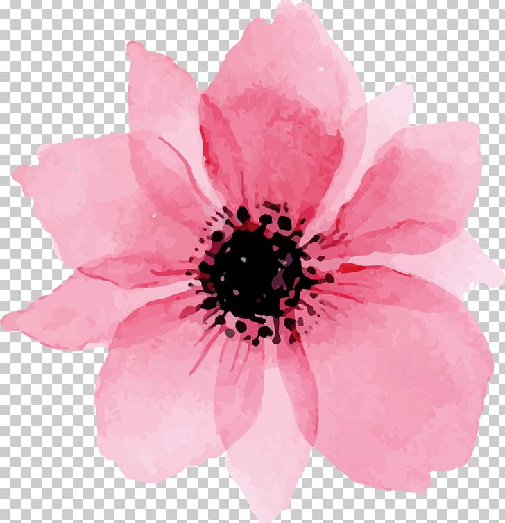 Watercolor Painting Watercolour Flowers Art Pink Flowers PNG, Clipart, Anemone, Annual Plant, Art, Blossom, Blue Free PNG Download