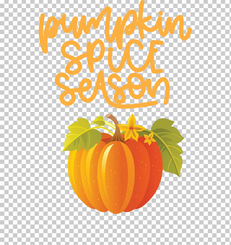 Autumn Pumpkin Spice Season Pumpkin PNG, Clipart, Autumn, Flower, Orange, Pumpkin, Royaltyfree Free PNG Download