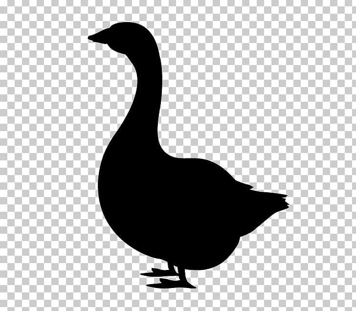 Domestic Duck Silhouette Goose PNG, Clipart, Anatidae, Animal, Animals, Beak, Bird Free PNG Download