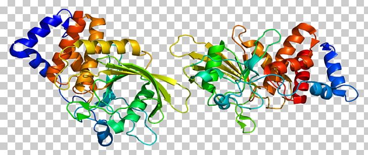 PTPRT Protein Tyrosine Phosphatase Gene Homo Sapiens PNG, Clipart, Enzyme, Gene, Graphic Design, Homo Sapiens, Line Free PNG Download