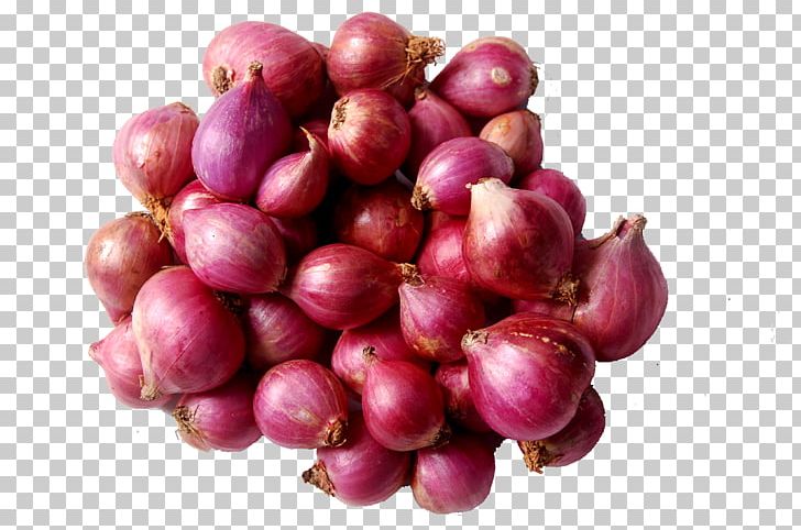 Sambar White Onion Indian Cuisine Vegetable Kuzhambu PNG, Clipart, Beet, Berry, Cranberry, Cuisine, Curry Free PNG Download